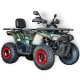 Fourcraft 250 Black - Gasoline ATV (Tao Motor)