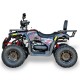 Hunter 250 Steel Black/Red - Gasoline ATV (Tao Motor)