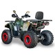 Fourcraft 250 Black - Gasoline ATV (Tao Motor)