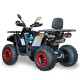 Hunter 250 Steel Black/Red - Gasoline ATV (Tao Motor)