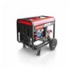 Three-phase diesel generator SDG7800 3F